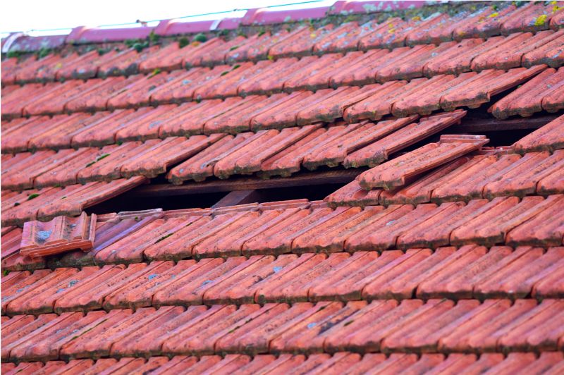 Damaged Roof Repair